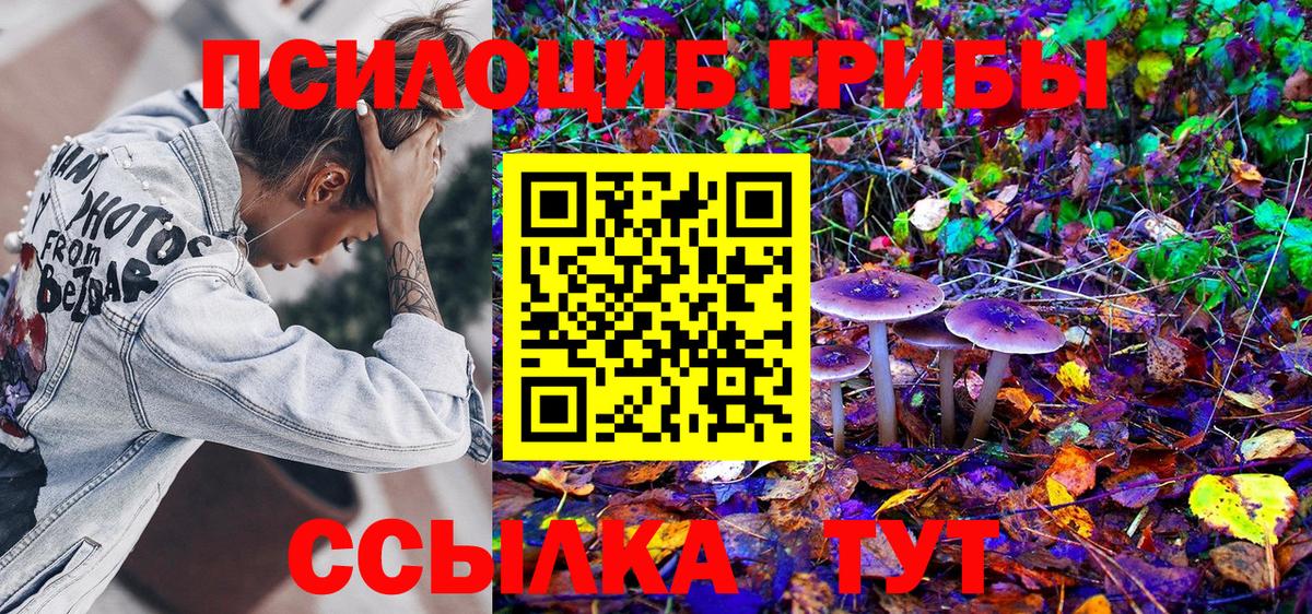 Галлюциногенные грибы Psilocybine cubensis  Псилоцибиновые грибы мухоморы  Усинск  Вход с VPN 